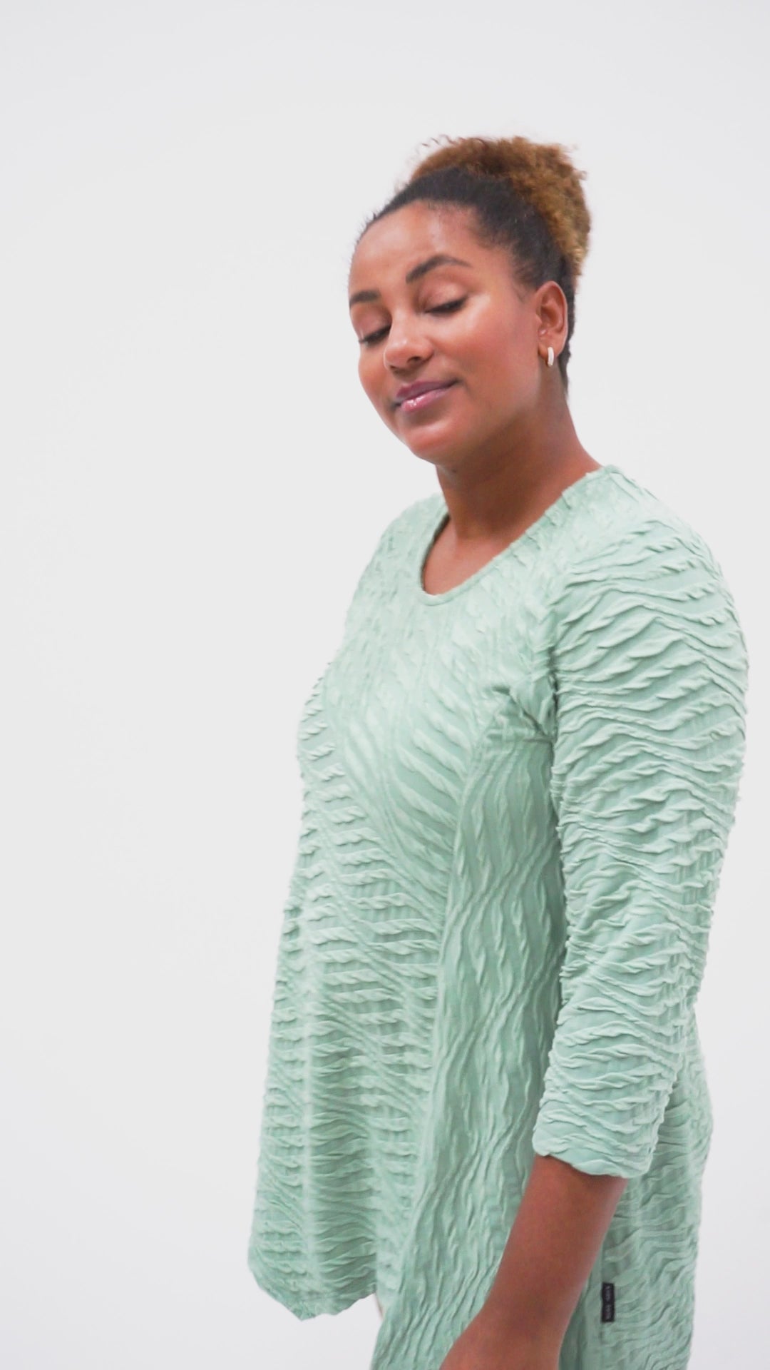 Pont Neuf PNCam Bluser